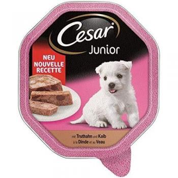 Cesar Junior Bowl 14 x 150 g - Pavo y ternera