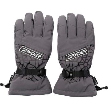 Guantes de esquí de hombre Overweb Gore-Tex Spyder