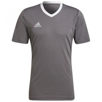 Adidas Camiseta Manga Corta Entrada 22 Gris