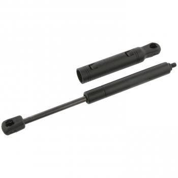 Muelles neumáticos FEBI BILSTEIN 34510 para capó de motor (izquierda/derecha)
