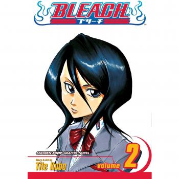 Bleach, Vol. 2: Goodbye Parakeet, Good Night My Sister
