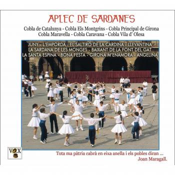 Aplec De Sardanes