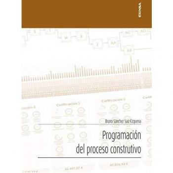 Programación del Proceso Constructivo