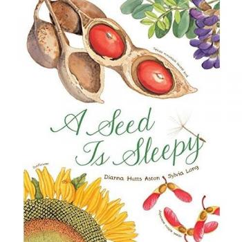 A Seed Is Sleepy