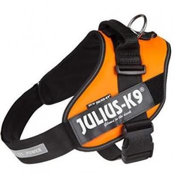 JULIUS-K9 16IDC Power Harness