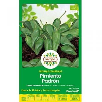 Semillas ecológicas pimiento padrón Vergea