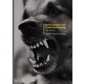 Social Censure and Critical Criminology: After Sumner