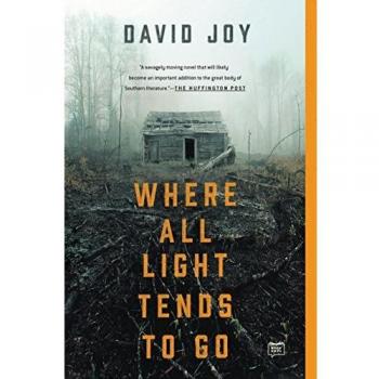 Where All Light Tends to Go - Literary Fiction Novel (Paperback)