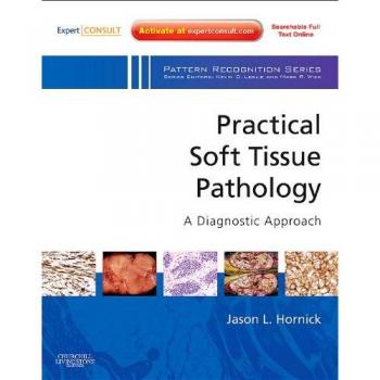 Practical Soft Tissue Pathology: A Diagnostic Approach: A Volume in the Pattern Recognition Series