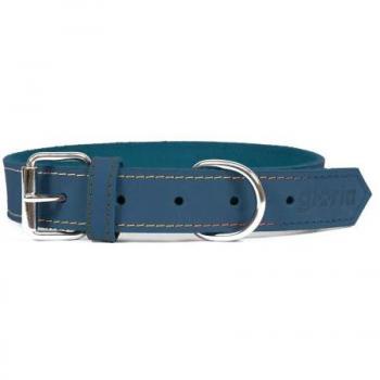 Collar para Perro Gloria Oasis Azul (65 x 3 cm)