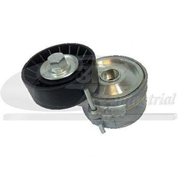3RG 10227 Tensor de Correa, Correa Poli V