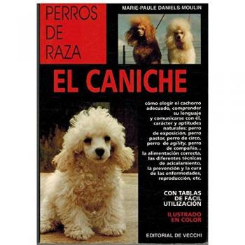 Caniche, el