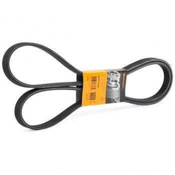 Correa acanalada en V CONTITECH 6DPK2215, Correa trapecial poli V CONTITECH 6DPK2215