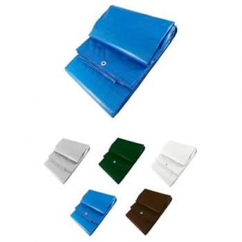 Toldo Reforzado Impermeable Multiusos con Ojales 6x10m (Azul)