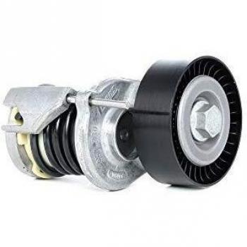 LUK 534016410 Tensioner
