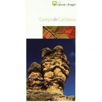 Campo de cariñena