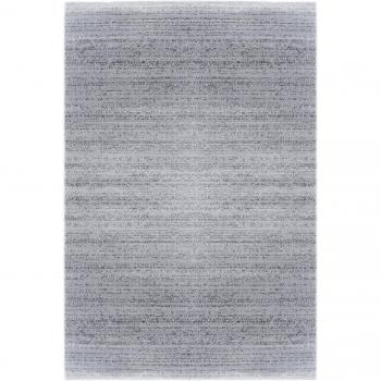 DolceMora Sehrazat Lena 302 - Alfombra, 1.10 x 0.60 x 11.00 cm, color plata