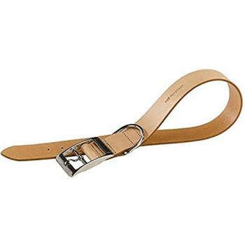 Collar de Cuero Natural Beige para Perros 27-35cm x 15mm Ferplast