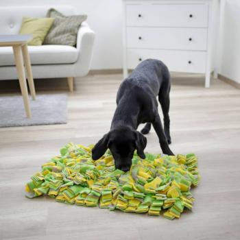 Kerbl - Alfombra olfativa para perros 70x50 cm Multicolor