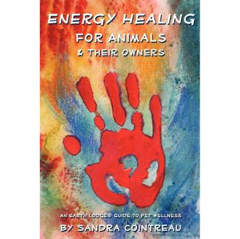 Holistic Pet Wellness Guide: Energy Healing for Animals and Their Owners