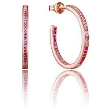 Pendientes aro Viceroy 9031E100-37 mujer plata Circonitas