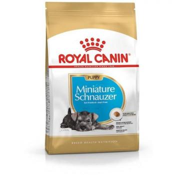 Royal Canin Miniature Schnauzer Puppy