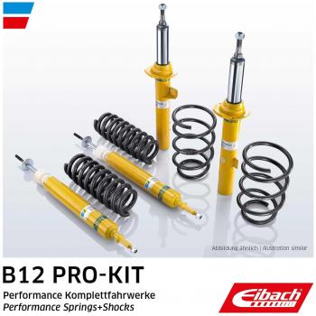 Kit de Amortiguadores y Muelles EIBACH E90-15-023-02-22 Completo