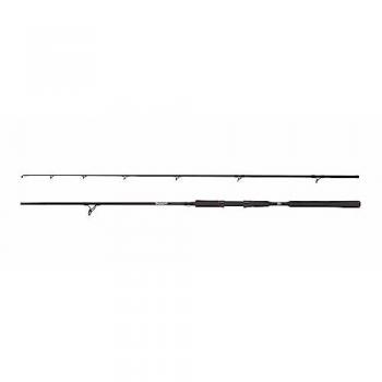 Caña de Spinning Abu Garcia Beast Pike 802H 2,44m 40-90g