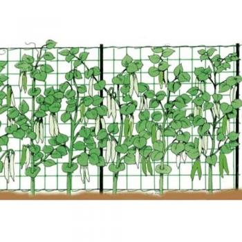 Rete Rampicante 2 x 10 Metros para Plantas y Hortalizas - Stocker 4578