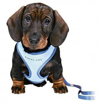 Trixie 15568 Set Cachorros Acolchado, 26-34 cm, 10 mm, 2M, Azul
