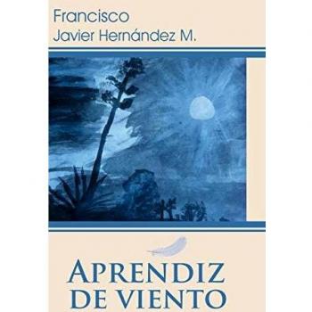 Aprendiz de Viento: Cometa de Alta Resistencia y Diseño Aerodinámico
