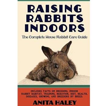 Raising Rabbits Indoors: The Complete House Rabbit Care Guide