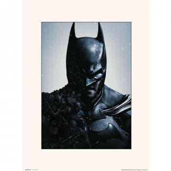 Lámina DC Batman Arkham Origins 40x30cm