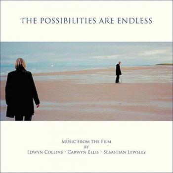 Endless Possibilities Original Soundtrack Vinyl LP