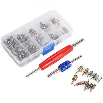 Qiilu 102 piezas Válvula de neumático de refrigeración Kit de herramientas para corazones de vástago Surtido A/C R134a / R12