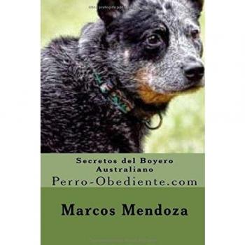 Secretos del Boyero Australiano: Perro-Obediente.com