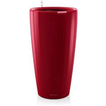 Lechuza Maceta, Rondo Premium