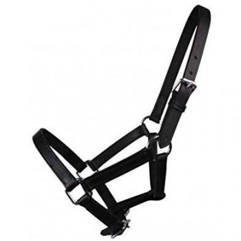 QHP Foal Halter Chico Leer in Size: Full Foal. - Negro - Full Foal