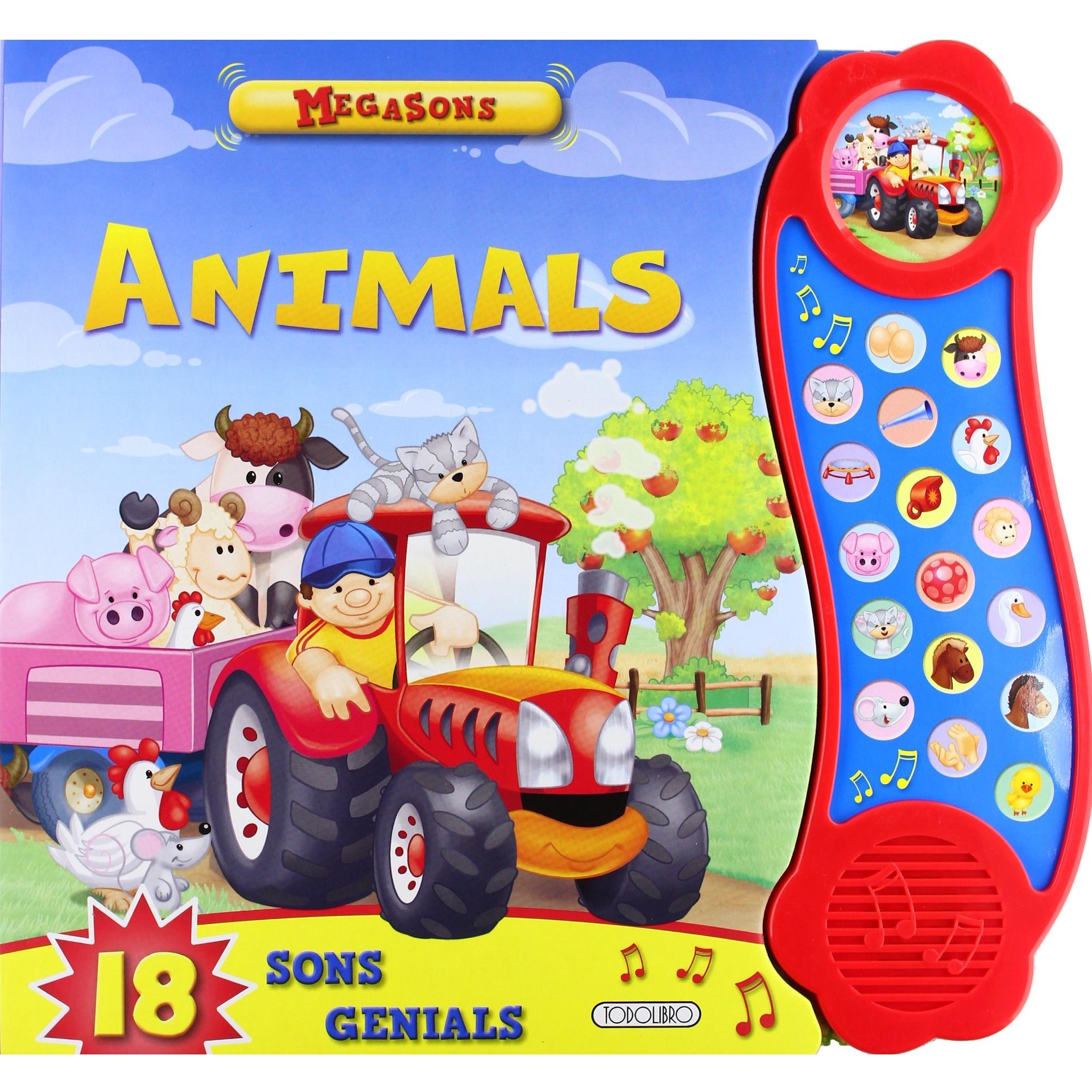 Imagen Principal