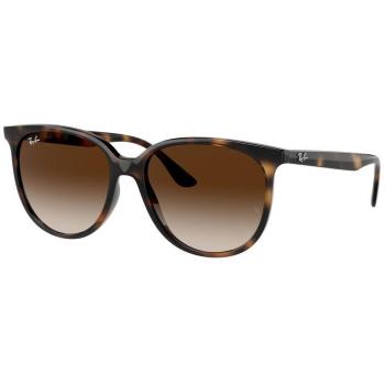 Ray-Ban RB4378F Asian Fit 710/13 Women’s Sunglasses Tortoiseshell Size 54