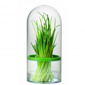 Tescoma Conservador DE Hierbas AROMATICAS Sense, Multicolor, 1 Unidad