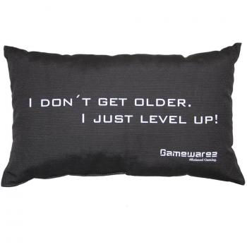 GAMEWAREZ Cojines I don´t get older. I just level up! para la sala de estar y el dormitorio