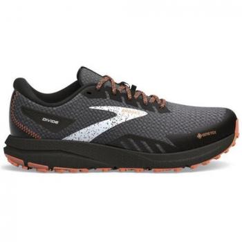Zapatilla Brooks Divide 4 GTX
