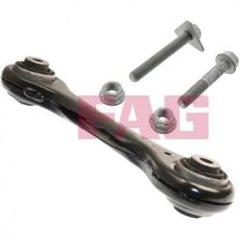 FAG Control Arm Barra Oscilante de Suspensión de Ruedas 821 0644 10