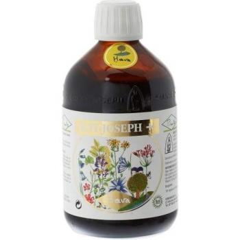 Pianto San Joseph Plus Hava Bio 510g
