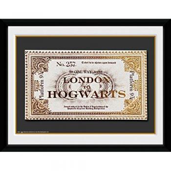 GB eye LTD, Harry Potter, Ticket, Fotografía enmarcada, 15 x 20 cm