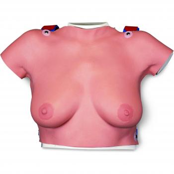 3B Scientific L51 Modelo Para la Palpación de Mama Para Colgar