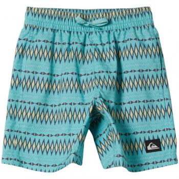 Bañador para Niño Quiksilver Everyday Heritage Azul 7A
