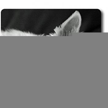 Cute Westie Terrier perro durmiendo Pop obra maestra limitada diseño Oblong Mouse Pad by Cases & Alfombrillas