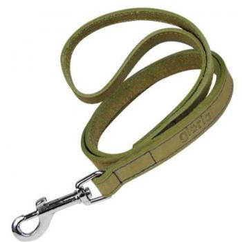 Correa para Perro Gloria Oasis 3 x 60 cm Verde